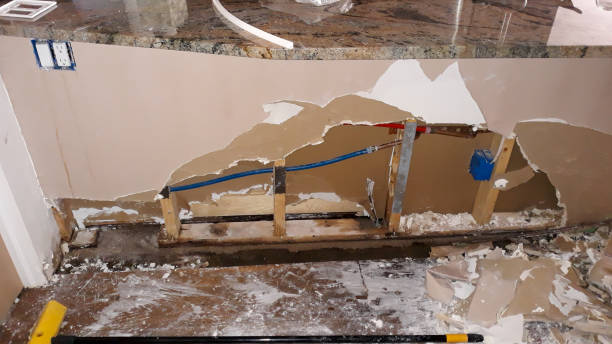 Best Water damage contractors near me  in Meade, KS